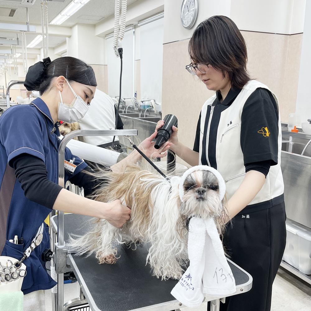 ２年生のトリミング実習♪